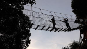 Survival Games